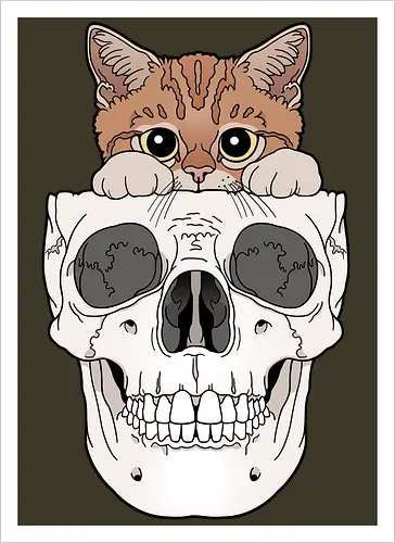 Orange Kitty & Skull