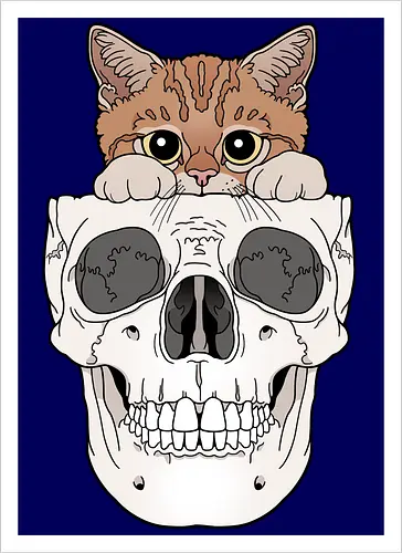 Orange Kitty & Skull