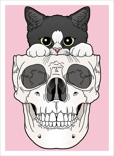 Tuxedo Kitty & Skull