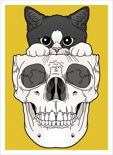 Tuxedo Kitty & Skull