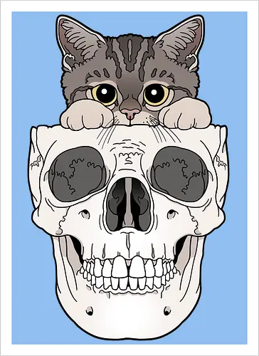 Tabby Kitty & Skull