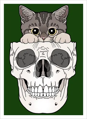 Tabby Kitty & Skull