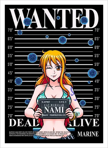 Cat Burglar Fishman Island Mugshot