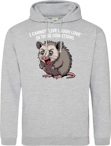 I cannot 'Live Laugh Love' in these conditions.