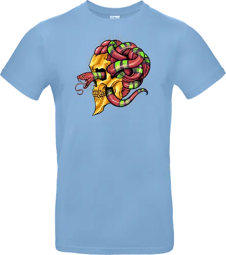 snake brain 