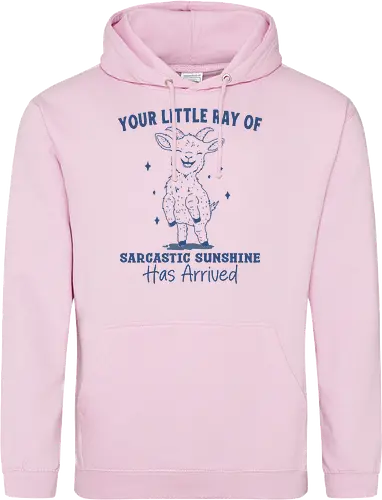 Sarcastic Sunshine 
