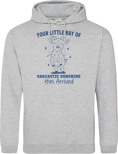 Sarcastic Sunshine 