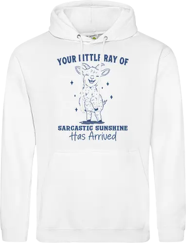 Sarcastic Sunshine 