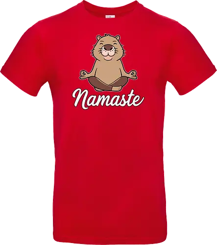 Namaste