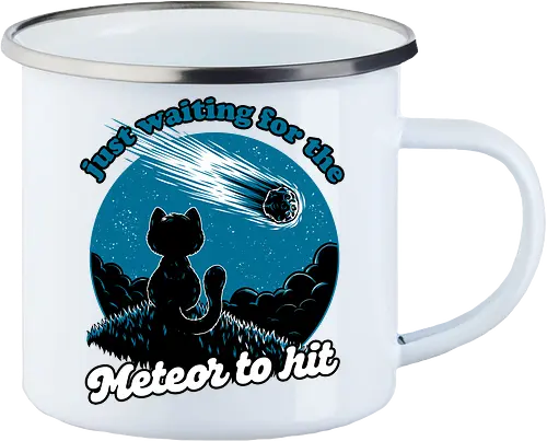 Cat Waiting the Meteor