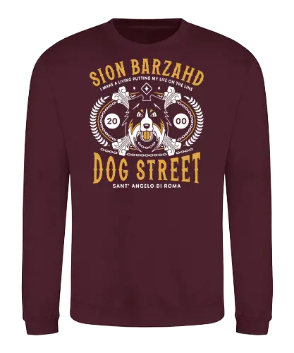 Sion Barzahd Emblem - bouncer, final, sion, kou, volt, dog street, jrpg, fantasy, video game, gaming, gamer, angelo, Rinoa, dominique cross, fighting game, retro - Sweatshirt
