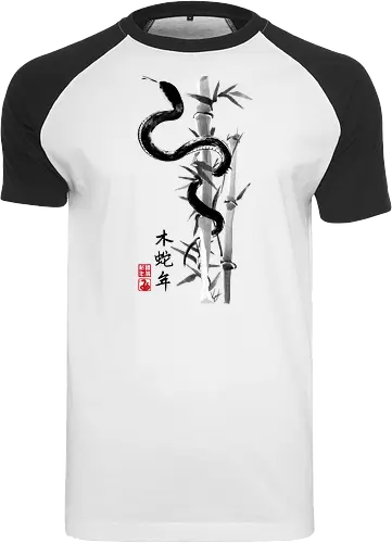 Year of the snake sumi e