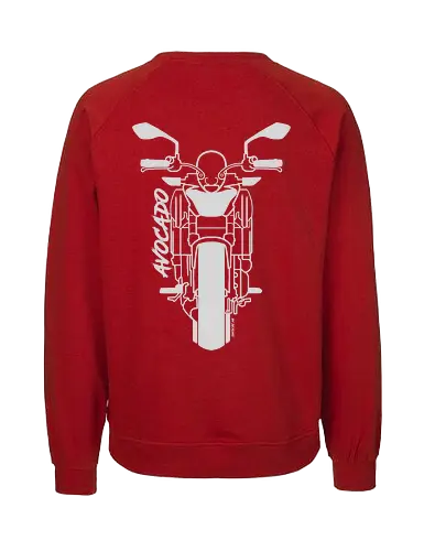 Kawasaki Z650, 2018,  weiß - Oldenburg, Leer, Norden, Emsland, Cloppenburg, Saisonstart2025, motorrad, bike, biker, Bremen, Niedersachsen - Fairtrade Sweatshirt