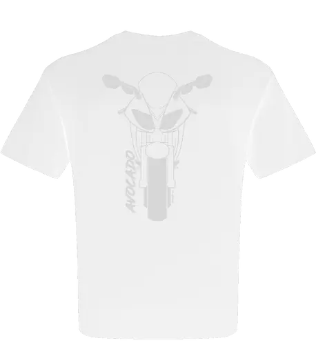 Kawasaki ZX10R, 2007,  weiß