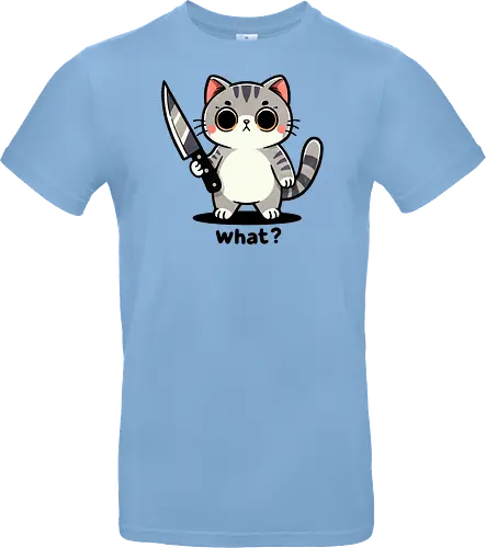 what? cat