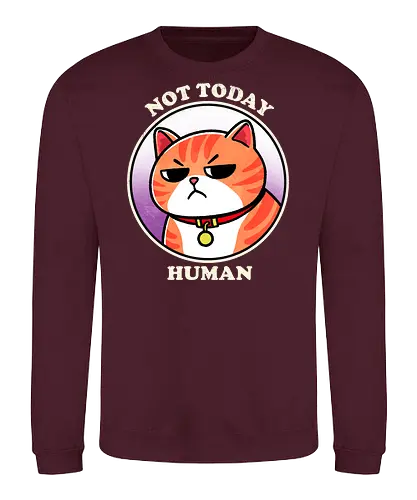 Not today Human - not today, sassy, attitude, funny, humor, sarcasm, statement, quote, typography, design, graphic, meme, meow, vintage, retro, casual, cat, kitten, feline, pet, animal, cute, adorable, cat lover, tabby, domestic cat, pet lover, whiskers, purring, playful - Sweatshirt