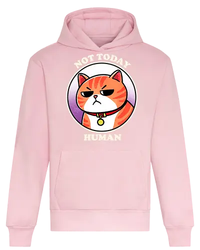 Not today Human - not today, sassy, attitude, funny, humor, sarcasm, statement, quote, typography, design, graphic, meme, meow, vintage, retro, casual, cat, kitten, feline, pet, animal, cute, adorable, cat lover, tabby, domestic cat, pet lover, whiskers, purring, playful - Heavyweight Hoodie