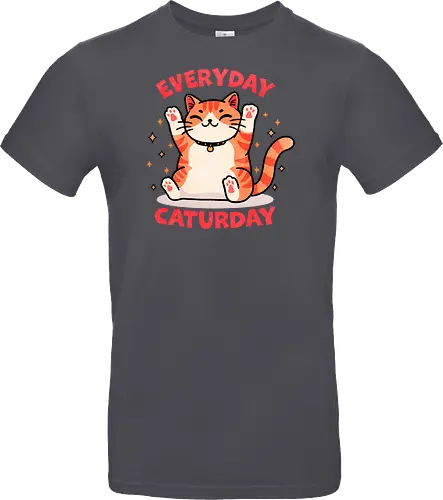 Everyday Caturday