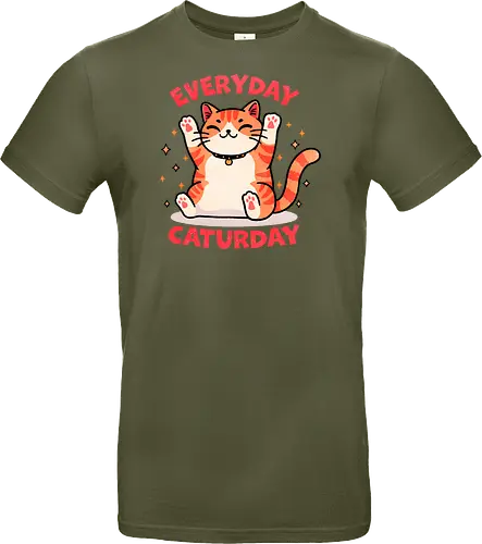 Everyday Caturday