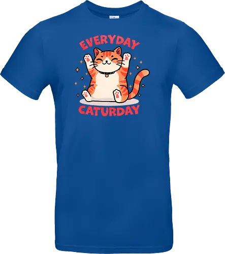 Everyday Caturday