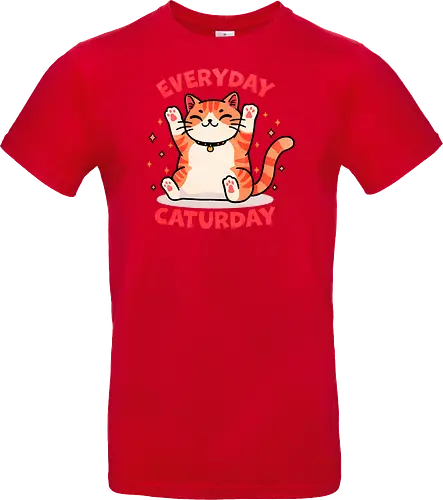 Everyday Caturday