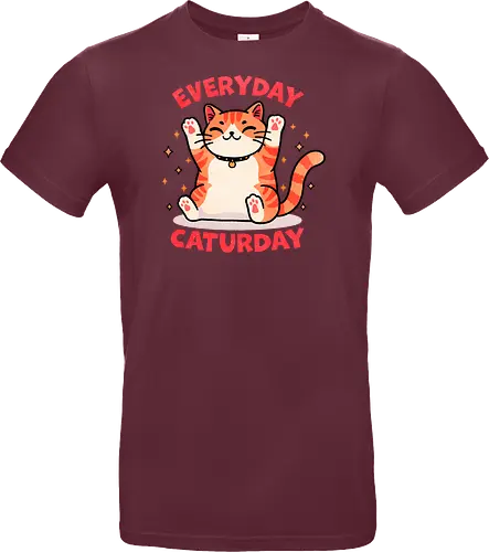 Everyday Caturday
