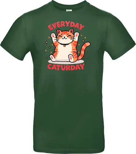 Everyday Caturday