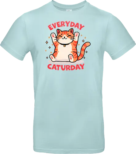 Everyday Caturday