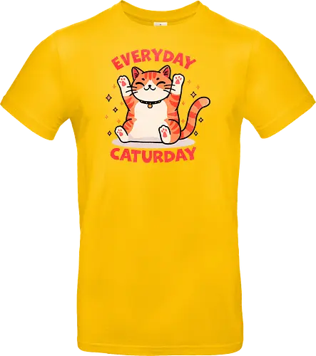 Everyday Caturday