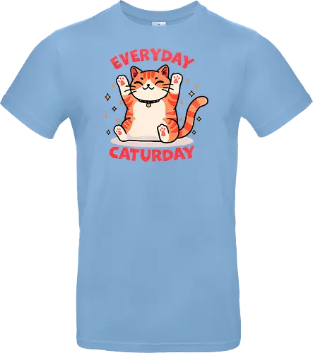 Everyday Caturday