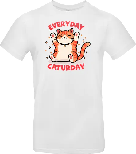 Everyday Caturday