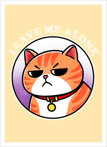 Leave me alone cat
