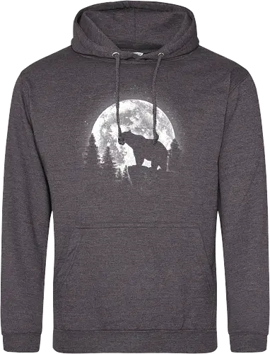 Moonlight Bear