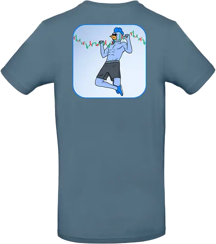 roost pullup - roost, crypto, currency, base, nft - Standard T-Shirt