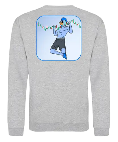 roost pullup - roost, crypto, currency, base, nft - Sweatshirt
