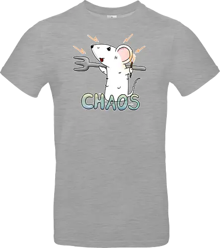 Chaos