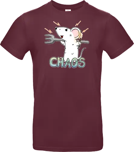 Chaos