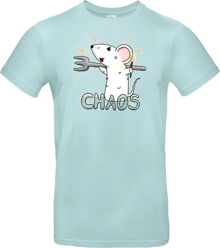 Chaos