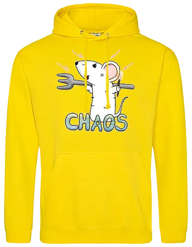 Chaos