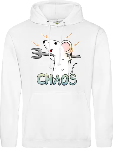 Chaos
