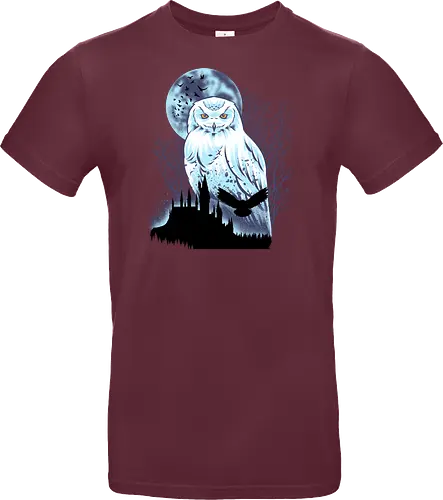 Snowy Owl