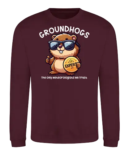 Expert GROUNDHOGS. The only meteorologists we trust. - groundhog, sunglasses, expert, meteorologist, cartoon, badge, humorous, trust, witty, animal - Sweatshirt