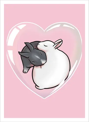 Cuddle Bunnies