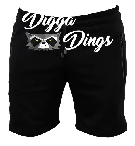 Shlorox - Digga Dings