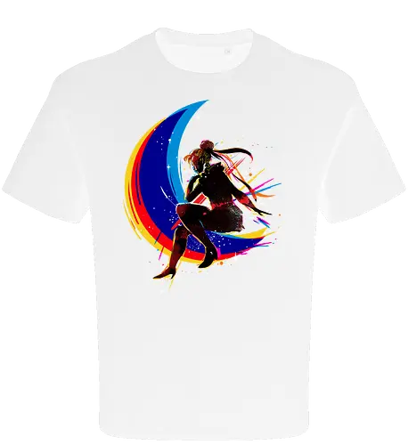 Sailor under the moon