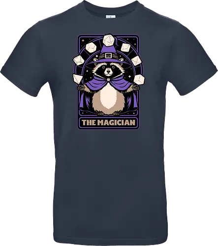 Raccoon RPG Wizard