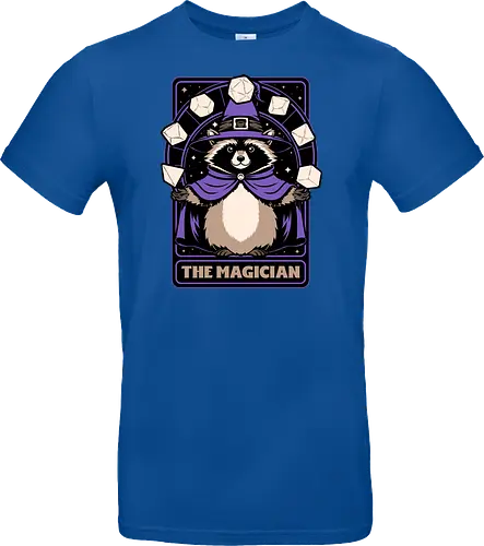 Raccoon RPG Wizard