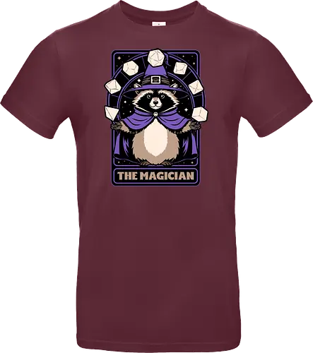 Raccoon RPG Wizard