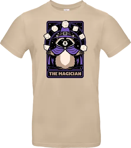 Raccoon RPG Wizard