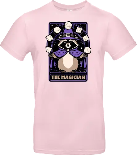 Raccoon RPG Wizard